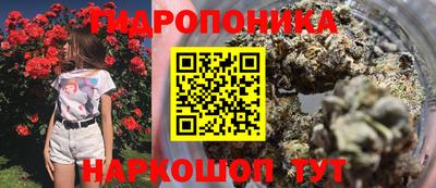 стафф Ливны
