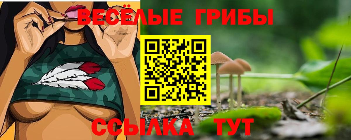 Галлюциногенные грибы Psilocybine cubensis Сланцы